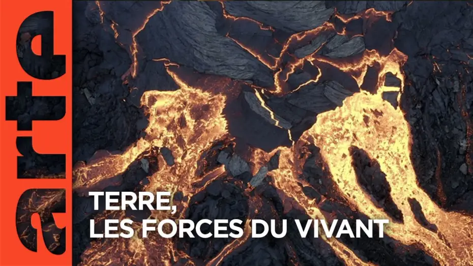 Watch film Terre, Les Forces du Vivant — Terre, les forces du vivant | Documentaire | ARTE
