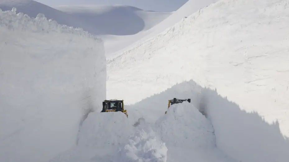 Watch film Melt — MELT
