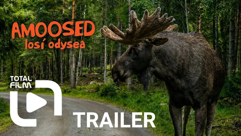 Watch film AMOOSED: a moose odyssey — Amoosed: losí odysea (2025) HD trailer