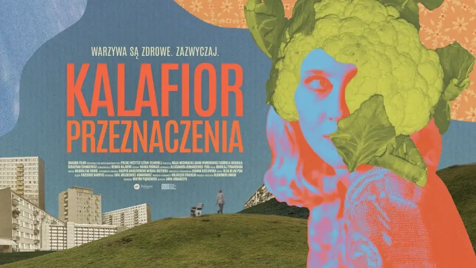 Watch film The Cauliflower of Destiny — Kalafior przeznaczenia - oficjalny zwiastun