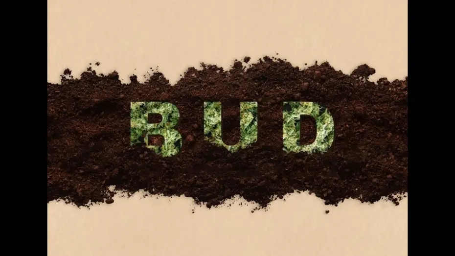 Watch film BUD — Bud (Short Film Trailer) 4K