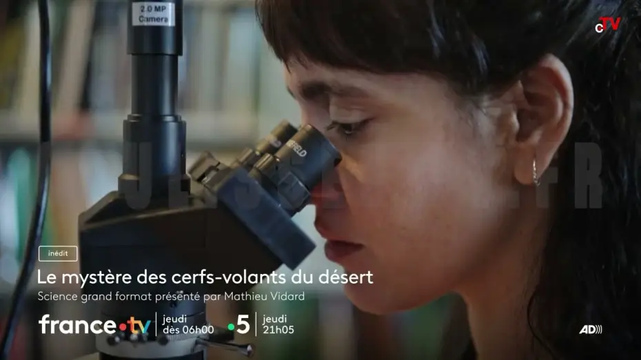 Watch film Le myst&egrave;re des cerfs-volants du d&eacute;sert | Le myst&egrave;re des cerfs-volants du d&eacute;sert jeudi 4 d&eacute;cembre 2025 sur France 5