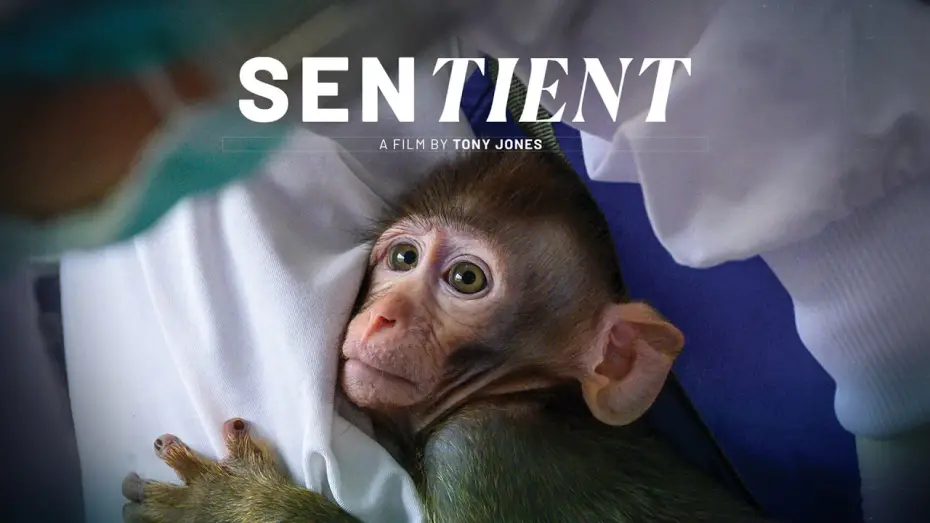 Watch film Sentient — Sentient - Official Trailer