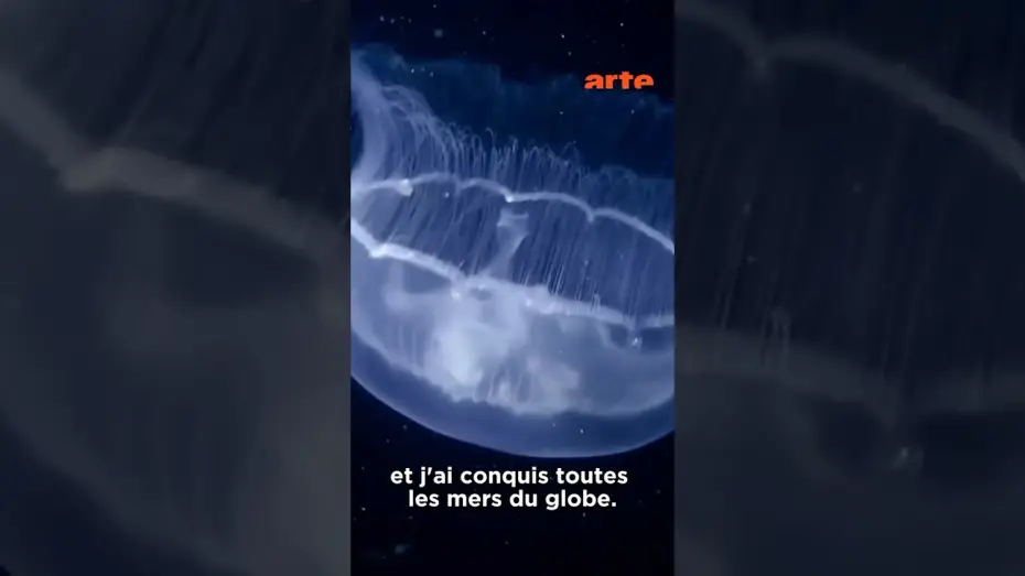 Watch film Le grand cirque des marées — Les souveraines des océans 🌊 #arteévasion #méduse #animaux