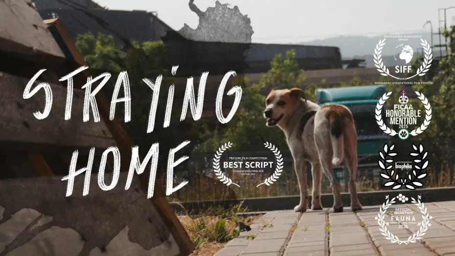 Watch film Straying home | Straying home. A film essay with urban animals