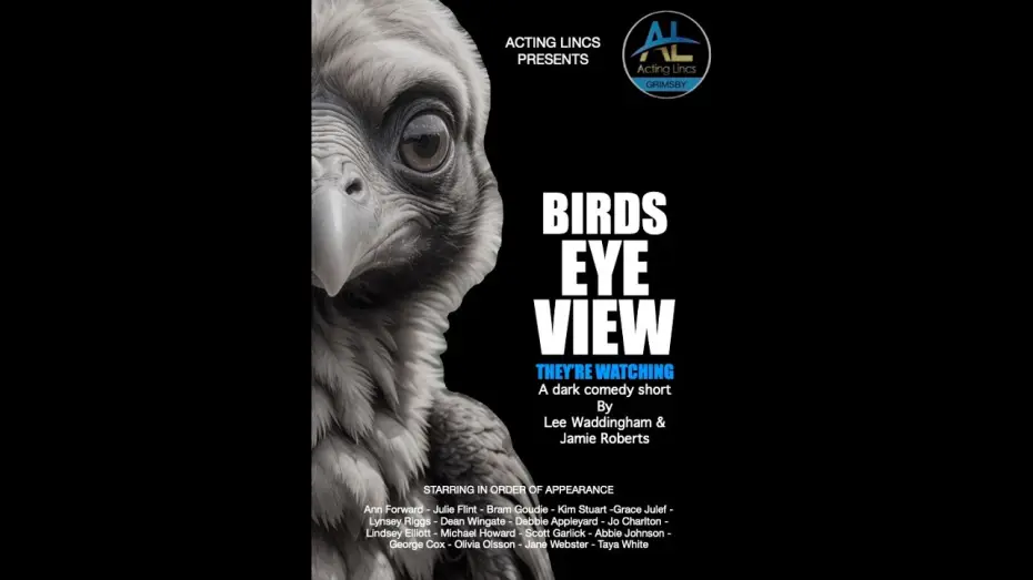 Watch film Birds Eye View | BIRDS EYE VIEW