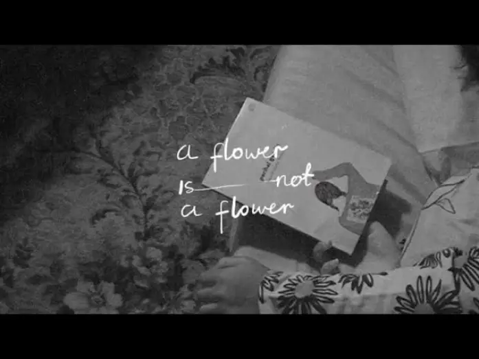 Watch film A Flower is Not a Flower — A FLOWER IS NOT A FLOWER - Teaser Trailer
