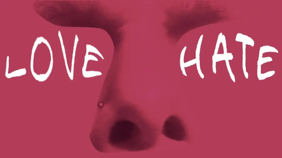 Watch film I Love/Hate The Aide — I Love/Hate The Aide | Music Short Film