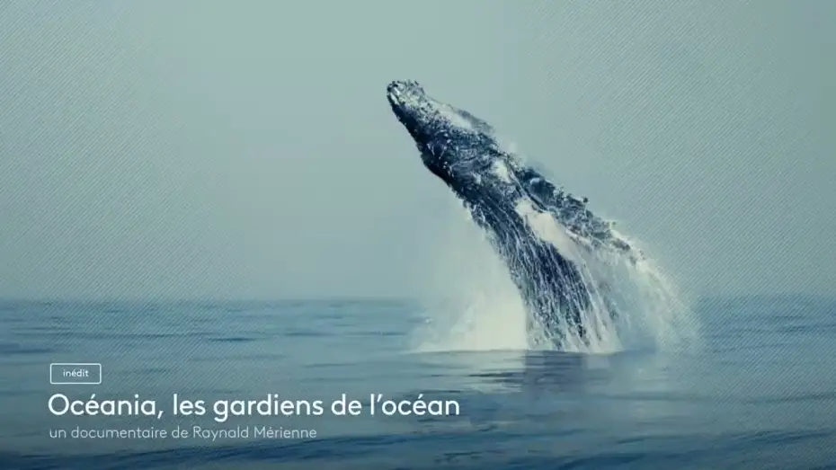 Watch film Océania, les gardiens des océans — [Bande annonce] Océania, les gardiens de l'océan