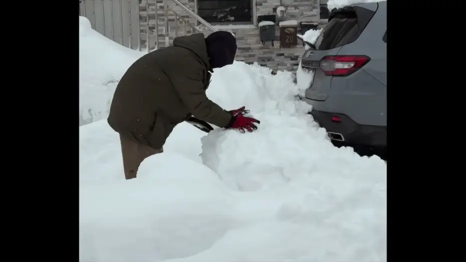 Watch film Snowday — Snowday