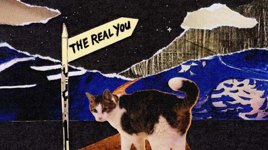 Watch film The Real You — Mixed media film about my cat – 'The Real You'