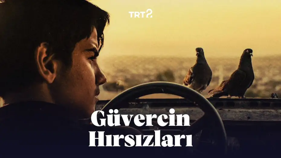 Watch film Güvercin Terbiyecisi Hammal — Güvercin Hırsızları | Fragman