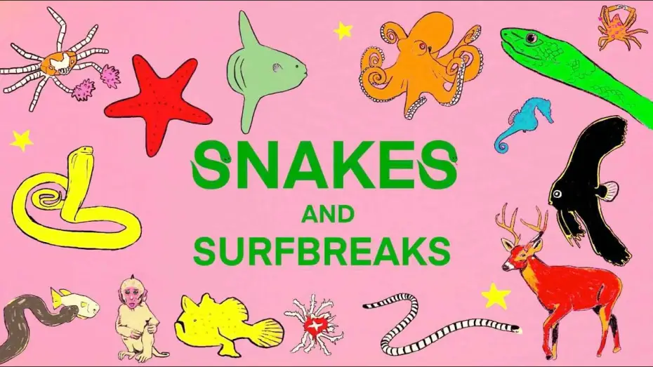 Watch film Snakes and Surf Breaks — SNAKES and SURF BREAKS - Indonesia (EXTENDED EDITION TRAILER)