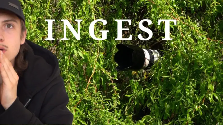 Watch film Ingest — INGEST 2026