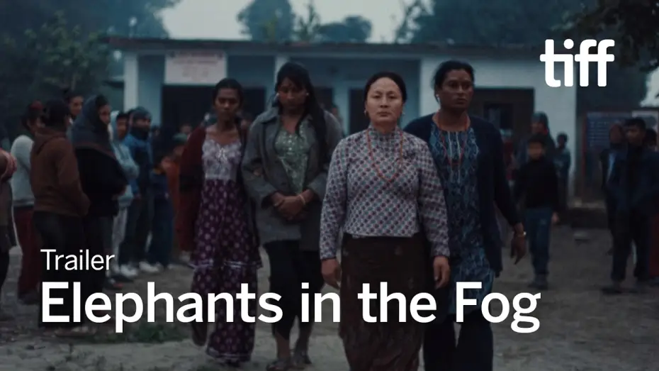 Watch film Elephants in the Fog — ELEPHANTS IN THE FOG Trailer | TIFF 2026