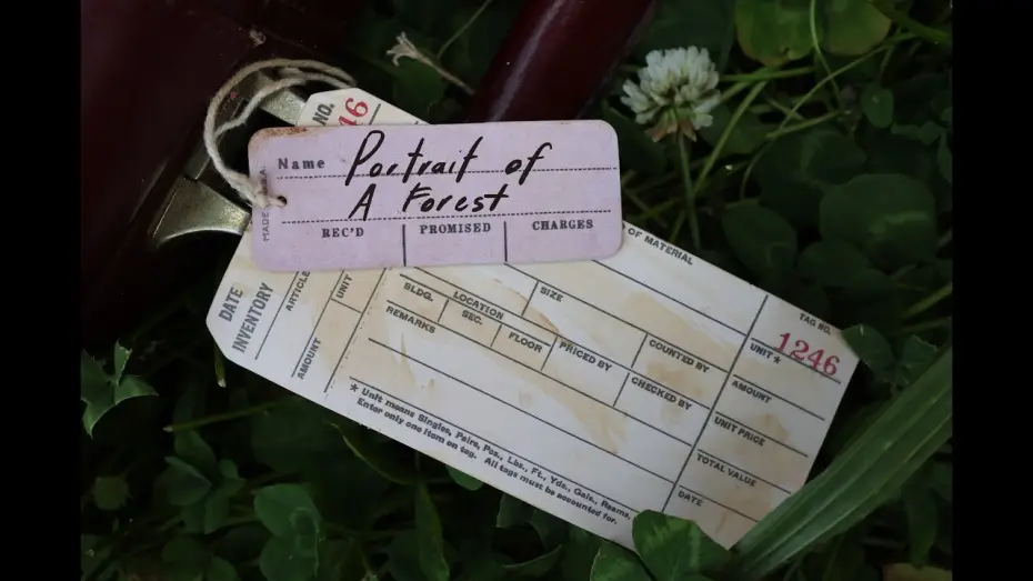 Watch film Portrait of a Forest — Portrait of a Forest
