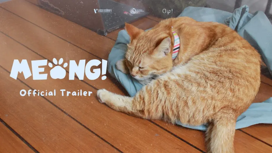 Watch film Meong! — Meow! (2026) - Trailer