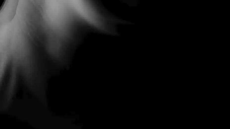 Watch film Ballet Biologic | Ballet Biologic