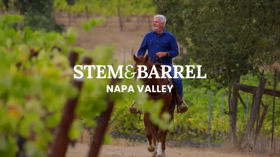 Watch film Stem & Barrel: Napa Valley — STEM & BARREL: NAPA VALLEY