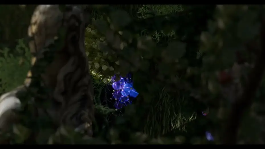 Watch film The Fox and the Grapes — The Fox and The Grapes Official trailer