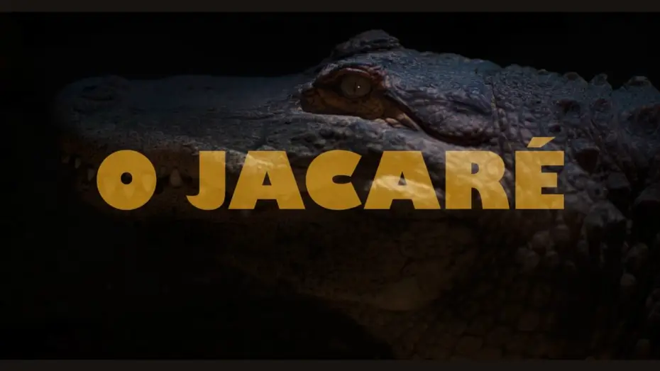Watch film O Jacaré — Official Trailer