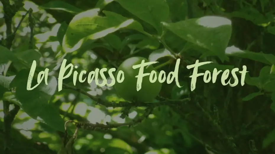 Watch film La Picasso Food Forest — La Picasso Food Forest
