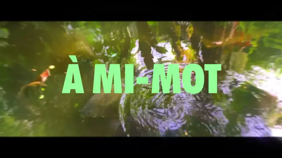 Watch film À MI-MOT — À MI-MOT