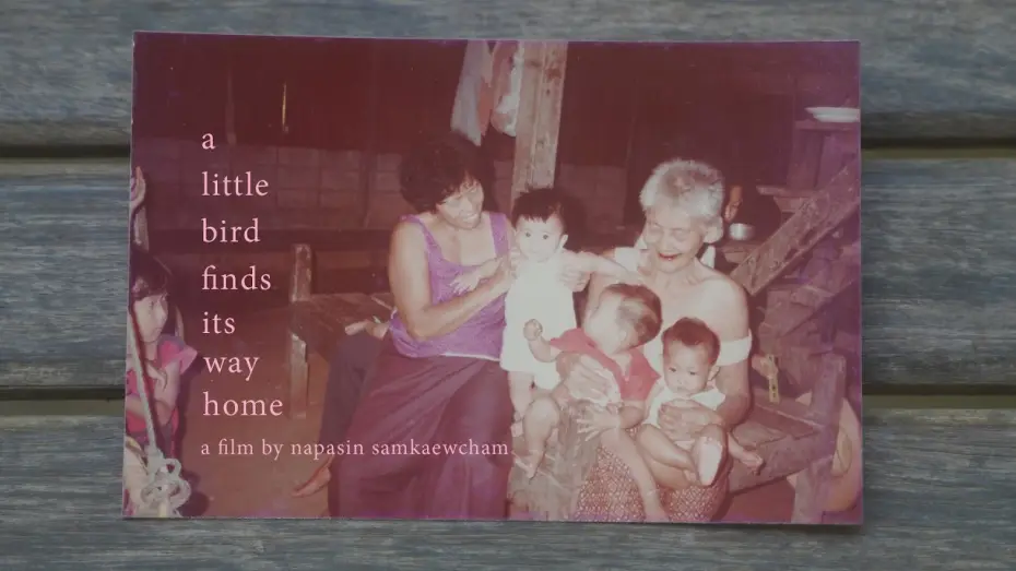 Watch film a little bird finds its way home — นกเล็ก (a little bird finds its way home) (2026) | Trailer