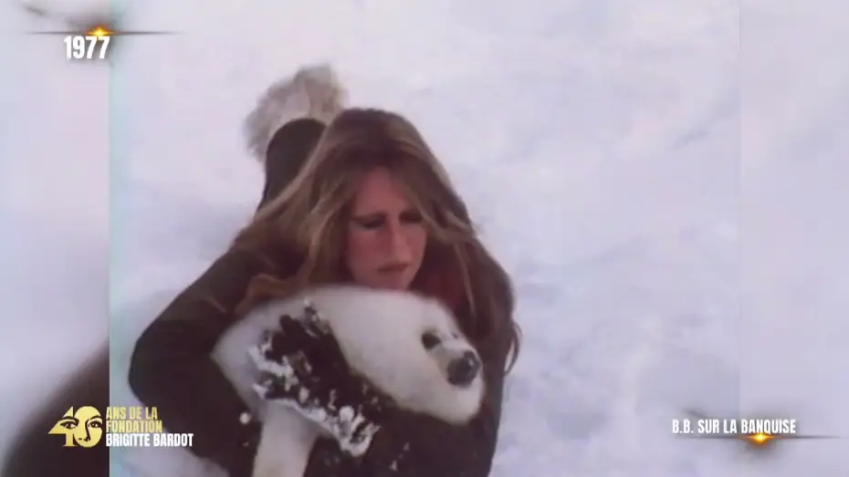 Watch film Brigitte Bardot - Le combat en héritage — 40 ans de la Fondation Brigitte Bardot - Le combat en héritage : Sur la banquise