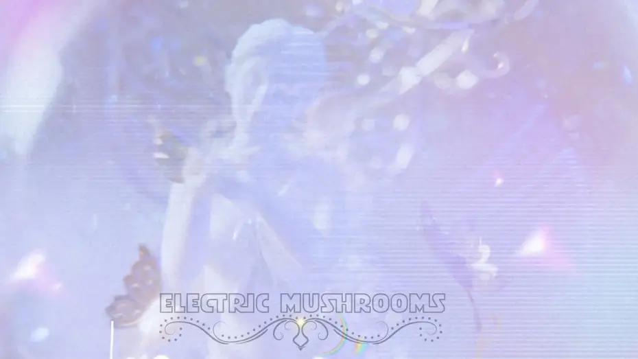 Watch film Electric Mushrooms — Electric Mushrooms | Experimental Short Film