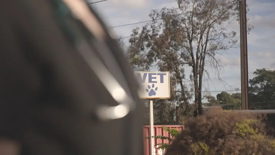 Watch film The Clinic — The Clinic Teaser