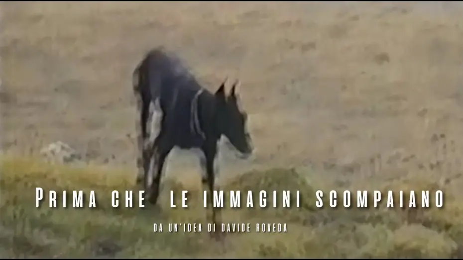 Watch film Before the images disappear — Prima che l'immagini scompaiano  -  A film by Davide Roveda