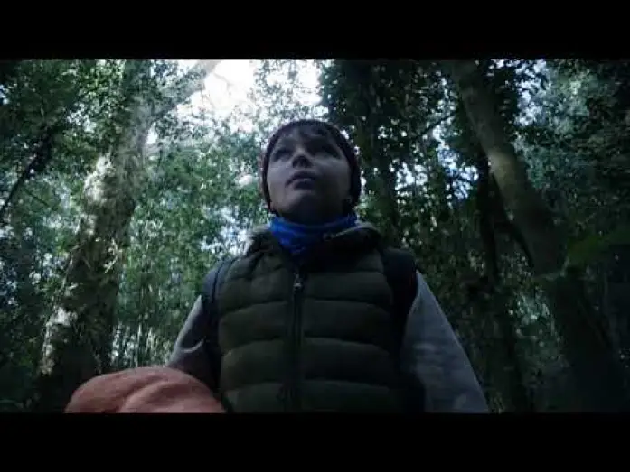 Watch film The Quiet Hour — La Hora de la Siesta | Teaser Oficial 4k | CALAMBRE