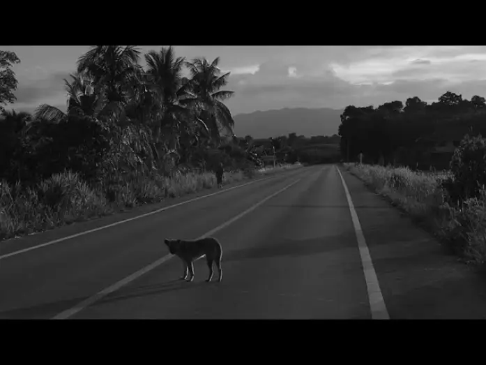 Watch film SA-WAN-BAN-NA — SA - WUN - BAN - NA (2566)