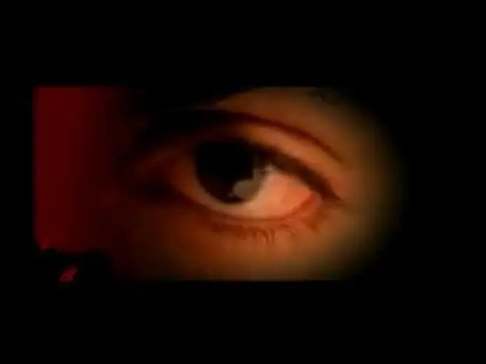 Watch film The Thriller | THE THRILLER Malayalam Movie Trailer