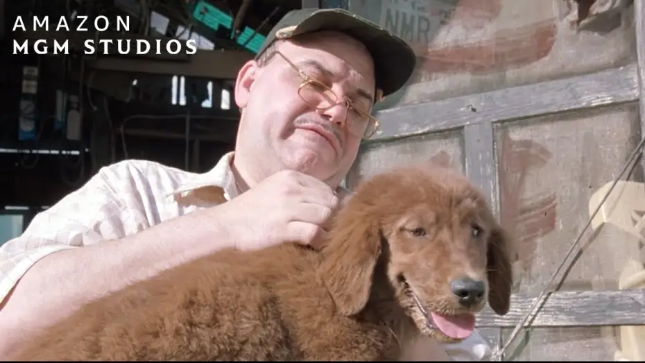 Watch film Fluke — Fluke's New Home