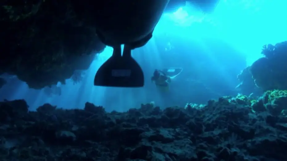 Watch film The Cove — DIE BUCHT "The Cove" - DVD Trailer 11.03.10