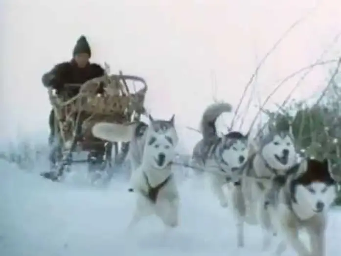 Watch film Iron Will — Iron Will Movie Trailer (better quality)