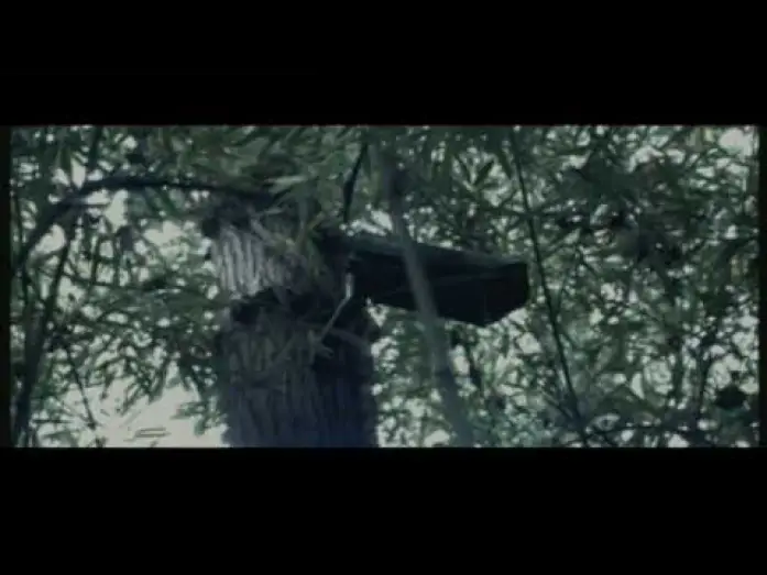 Watch film Paintball — Paintball - Bande Annonce VF
