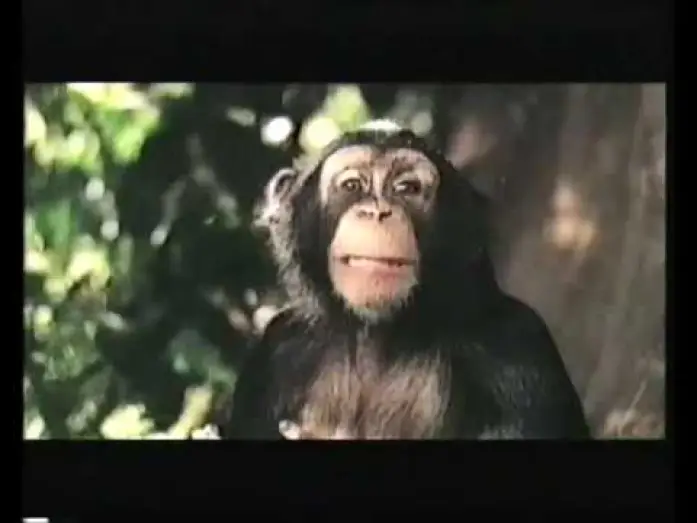 Watch film George of the Jungle 2 — Disney's George of the jungle 2 Trailer 2003 (VHS Capture)