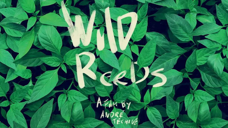 Watch film Wild Reeds — Wild Reeds (Les roseaux sauvages) - U.S. Restoration Trailer (HD)