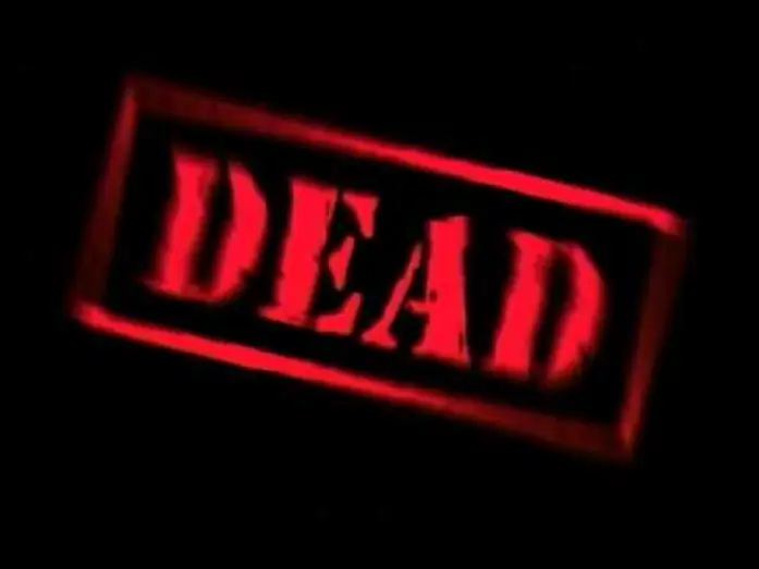 Watch film Pauly Shore Is Dead — Pauly Shore is Dead - Trailer