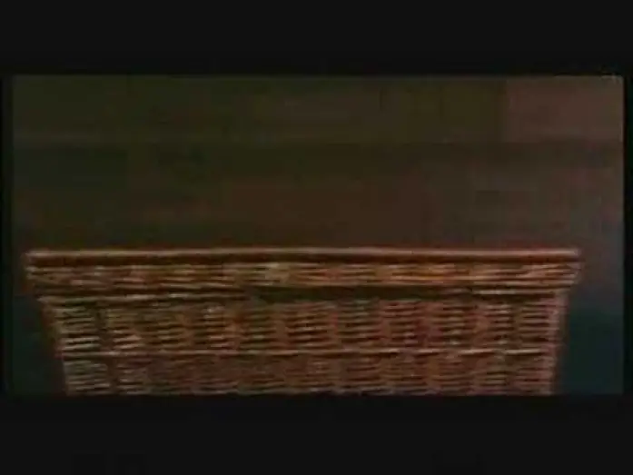 Watch film Basket Case — Basket Case (1982) Trailer