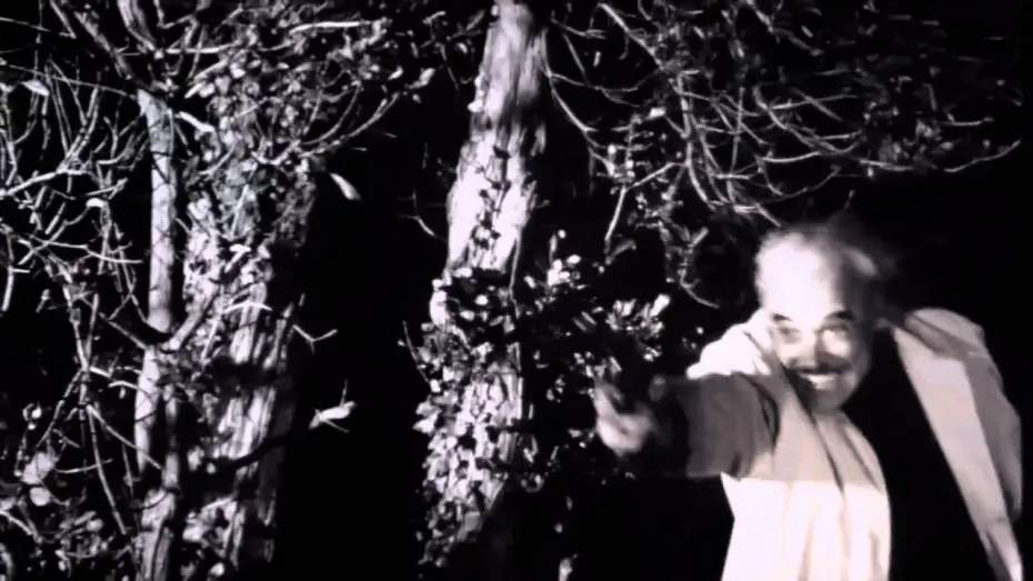 Watch film Dementia 13 — Dementia 13 Trailer - 1963