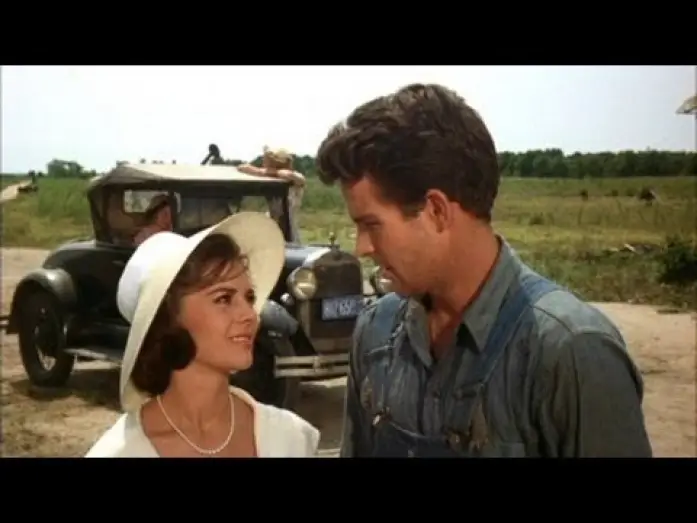 Watch film Splendor in the Grass — Dan Ireland on SPLENDOR IN THE GRASS