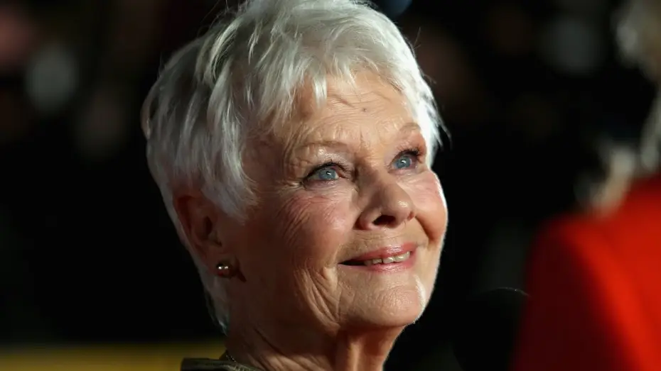Watch film Philomena — Judi Dench and Steve Coogan in Philomena