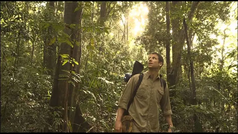 Watch film Welcome to the Jungle — La jungla / Tráiler oficial España