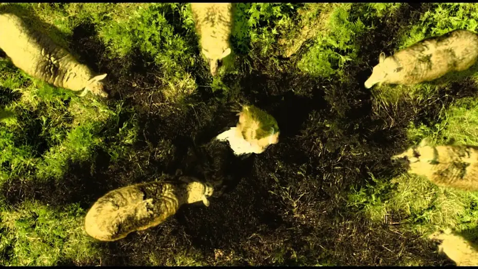 Watch film Nothing Left to Fear — LES PORTES DE L'ENFER - LA LEGENDE DE STULL- Bande annonce - VF