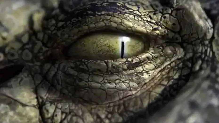 Watch film RoboCroc — Robocroc Trailer