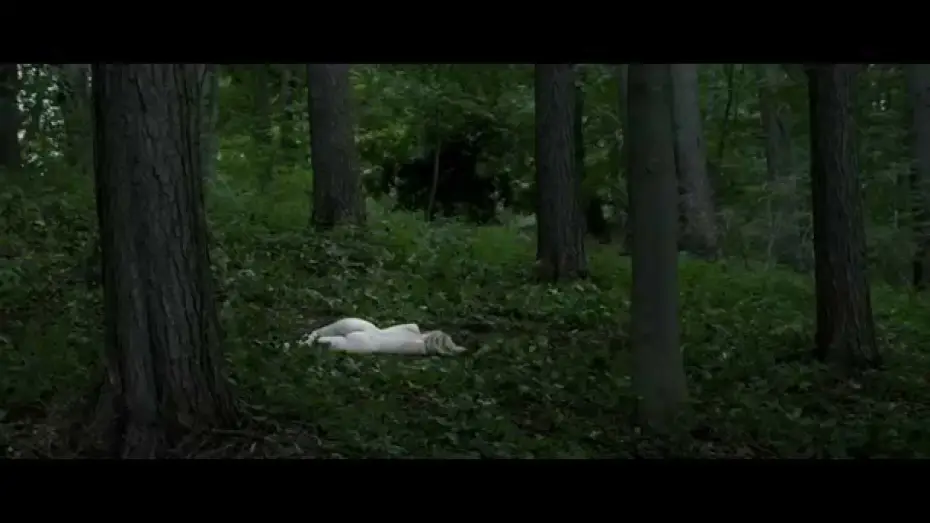 Watch film The Absent One — ZABÓJCY BAŻANTÓW - oficjalny polski zwiastun (HD, 1080p)